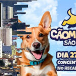 São Roque se prepara para a 2ª edição da Cãominhada
